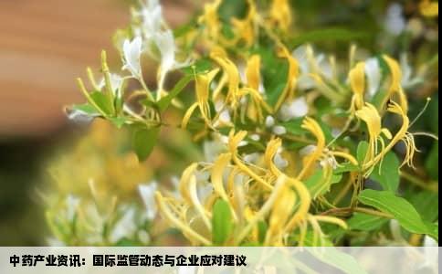 中药产业资讯：国际监管动态与企业应对建议