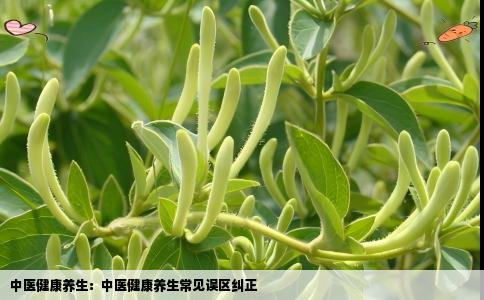 中医健康养生：中医健康养生常见误区纠正