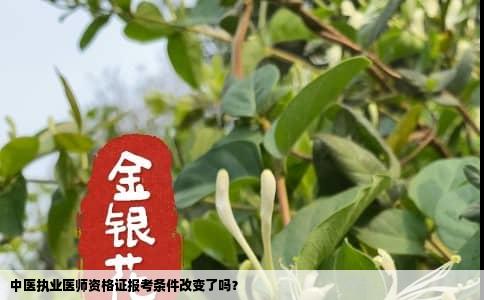 中医执业医师资格证报考条件改变了吗？