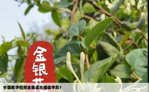 中医教学视频全集适合哪些学员？