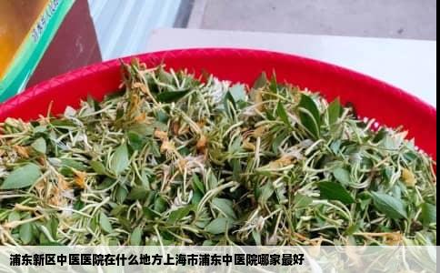 浦东新区中医医院在什么地方上海市浦东中医院哪家最好