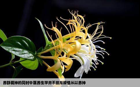 养静藏神的同时中医养生学并不排斥顺情从以养神