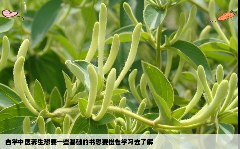 自学中医养生想要一些基础的书想要慢慢学习去了解