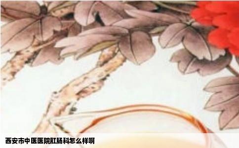 西安市中医医院肛肠科怎么样啊