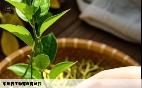 中医养生师有没有证书