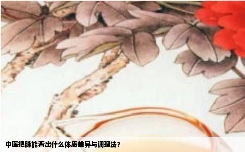 中医把脉能看出什么体质差异与调理法？