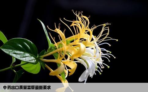 中药出口质量监管最新要求