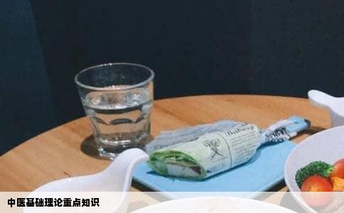 中医基础理论重点知识