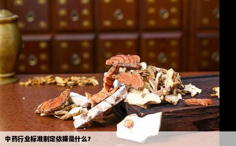 中药行业标准制定依据是什么？