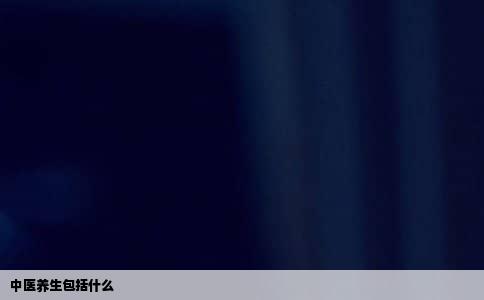 中医养生包括什么