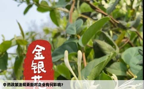 中药政策法规更新对企业有何影响？