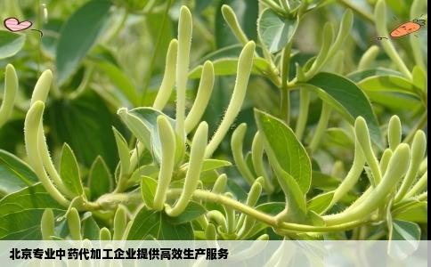 北京专业中药代加工企业提供高效生产服务