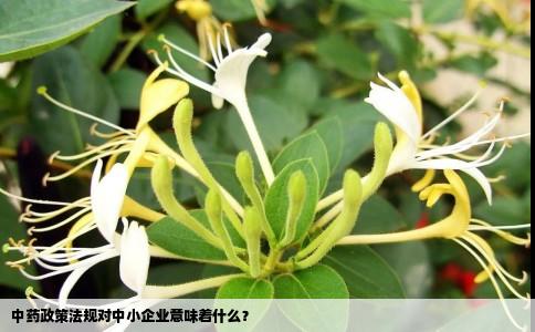 中药政策法规对中小企业意味着什么？
