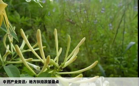 中药产业资讯：地方扶持政策盘点