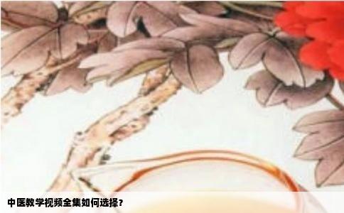 中医教学视频全集如何选择？