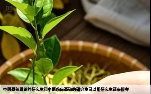 中医基础理论的研究生和中医临床基础的研究生可以用研究生证来报考