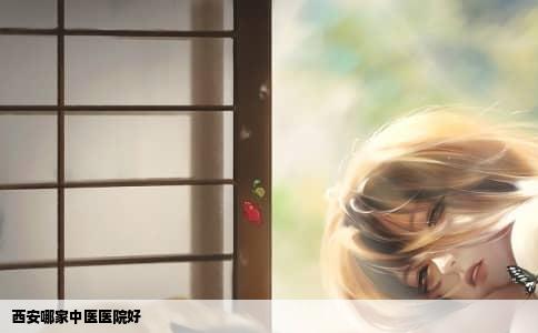 西安哪家中医医院好