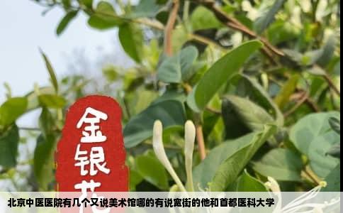 北京中医医院有几个又说美术馆哪的有说宽街的他和首都医科大学