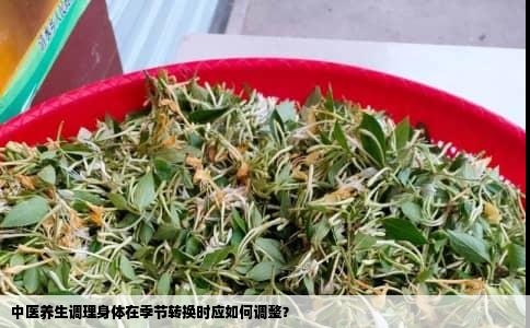 中医养生调理身体在季节转换时应如何调整？