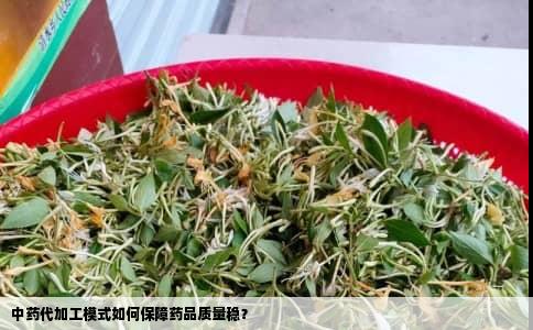 中药代加工模式如何保障药品质量稳？