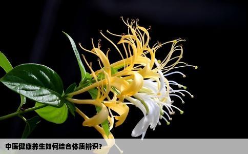 中医健康养生如何结合体质辨识？