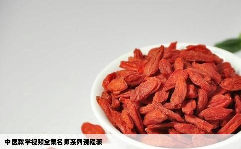 中医教学视频全集名师系列课程表