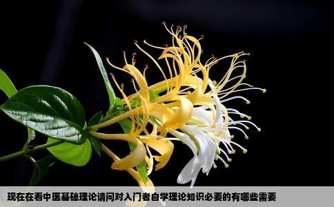 现在在看中医基础理论请问对入门者自学理论知识必要的有哪些需要