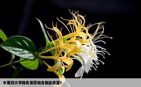 中医药大学排名是否包含临床资源？