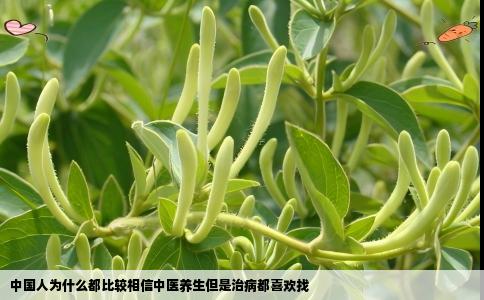 中国人为什么都比较相信中医养生但是治病都喜欢找