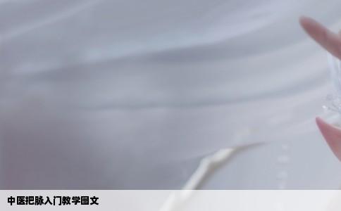 中医把脉入门教学图文