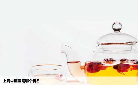 上海中医医院哪个有名
