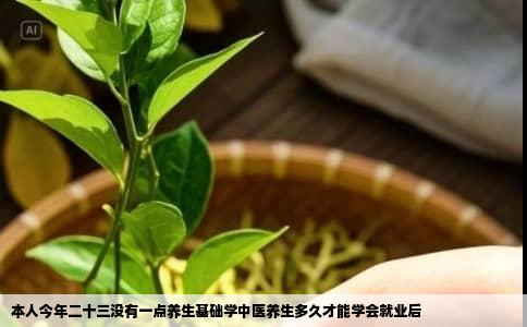 本人今年二十三没有一点养生基础学中医养生多久才能学会就业后