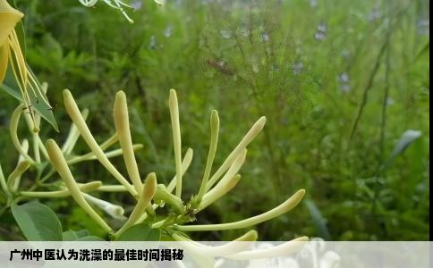 广州中医认为洗澡的最佳时间揭秘