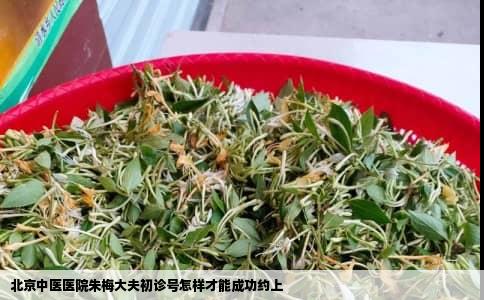 北京中医医院朱梅大夫初诊号怎样才能成功约上