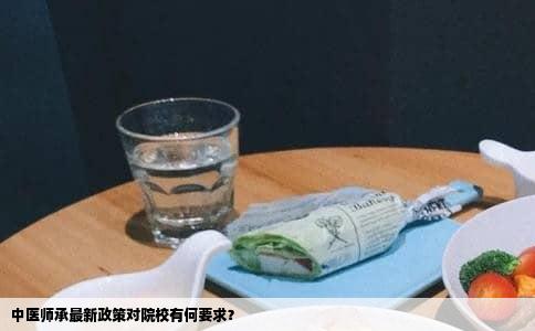 中医师承最新政策对院校有何要求？