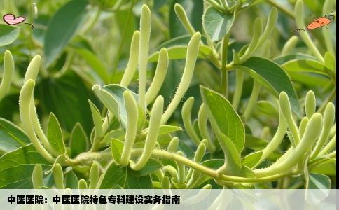 中医医院：中医医院特色专科建设实务指南