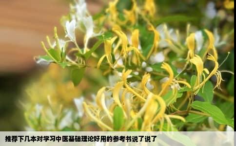 推荐下几本对学习中医基础理论好用的参考书说了说了