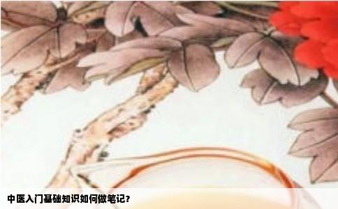 中医入门基础知识如何做笔记？