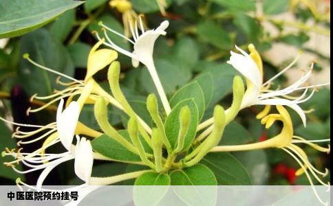 中医医院预约挂号