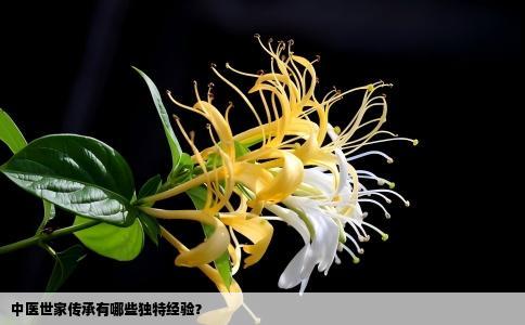 中医世家传承有哪些独特经验？