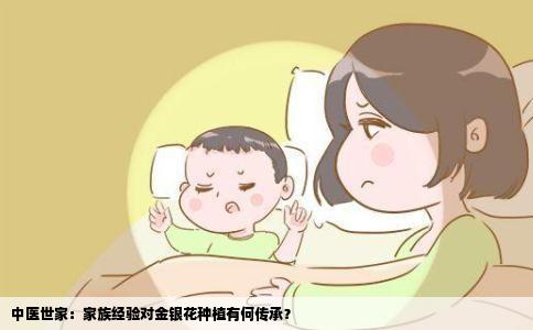 中医世家：家族经验对金银花种植有何传承？