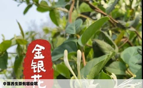 中医养生茶有哪些呢