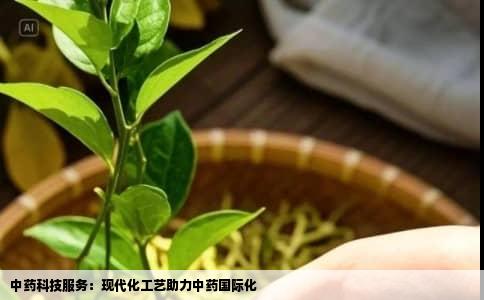 中药科技服务：现代化工艺助力中药国际化