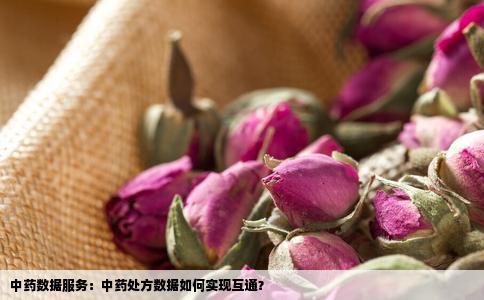 中药数据服务：中药处方数据如何实现互通？