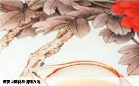 西安中医体质调理方法