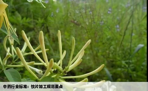 中药行业标准：饮片加工规范要点