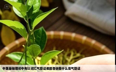中医基础理论中有以词汇气隐证谁能告诉我什么是气隐证