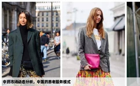 中药市场动态分析，中医药养老服务模式