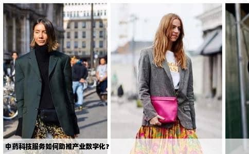 中药科技服务如何助推产业数字化？