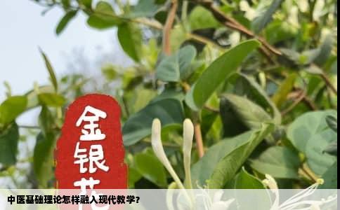 中医基础理论怎样融入现代教学？